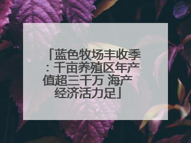 蓝色牧场丰收季：千亩养殖区年产值超三千万 海产经济活力足